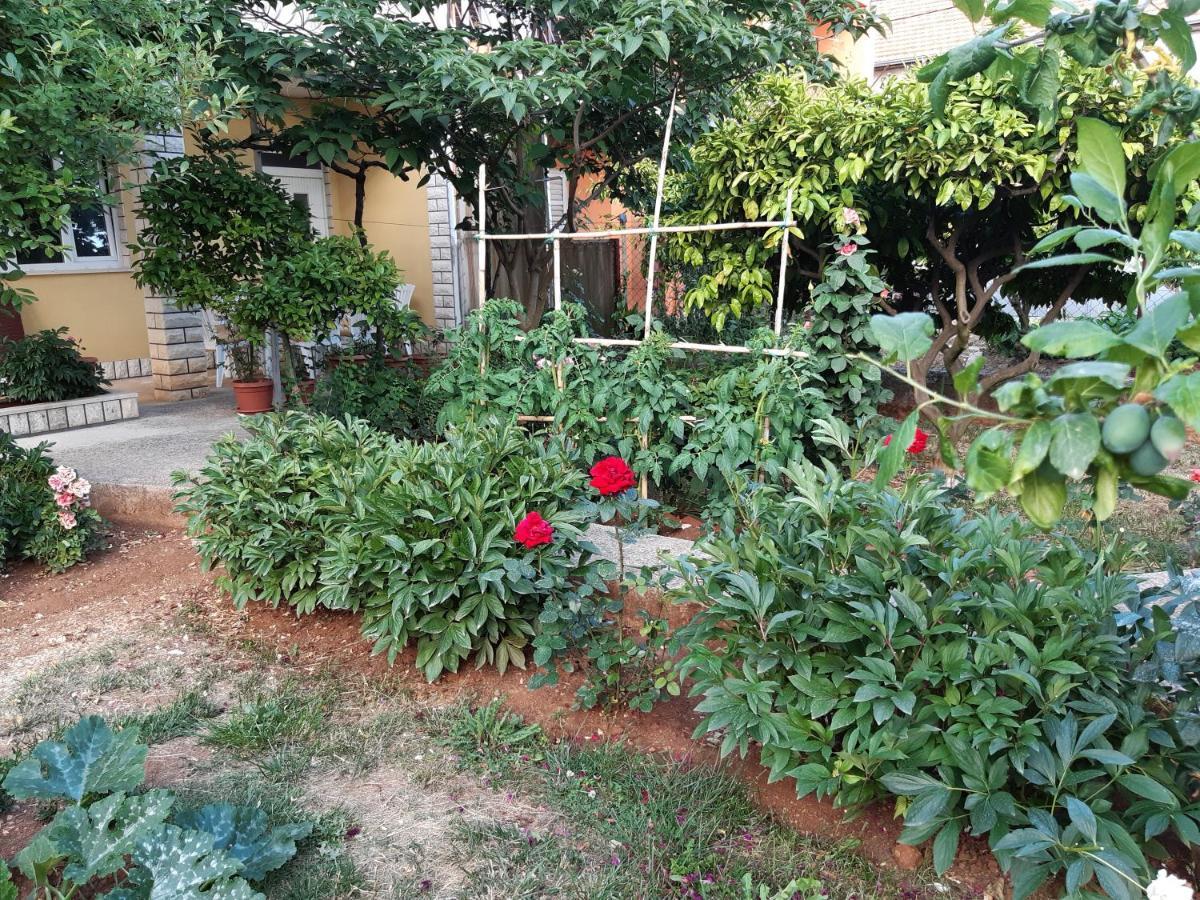 Apartment Jardin With Free Cowered Parking Zadar Eksteriør bilde