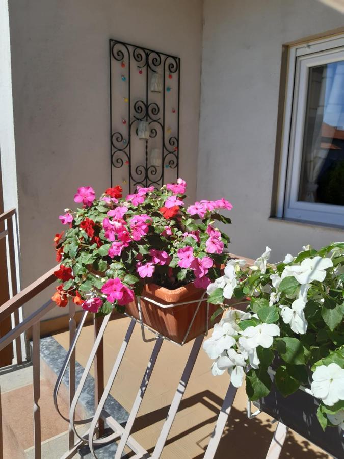 Apartment Jardin With Free Cowered Parking Zadar Eksteriør bilde