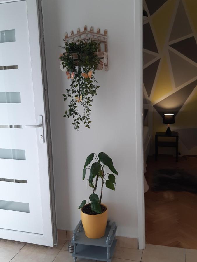 Apartment Jardin With Free Cowered Parking Zadar Eksteriør bilde