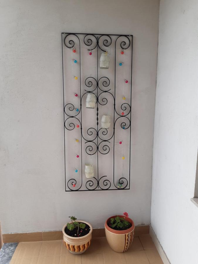 Apartment Jardin With Free Cowered Parking Zadar Eksteriør bilde