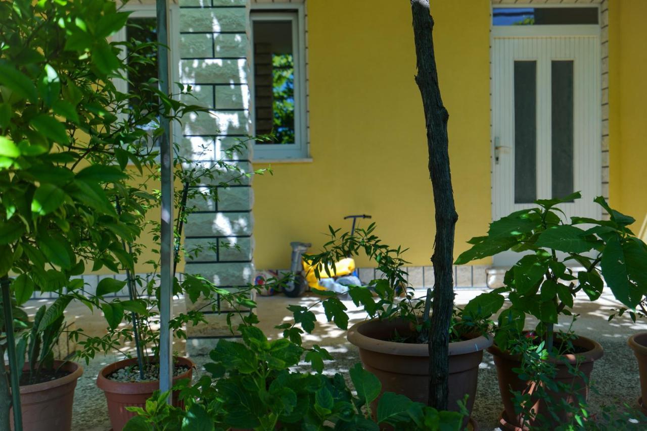 Apartment Jardin With Free Cowered Parking Zadar Eksteriør bilde